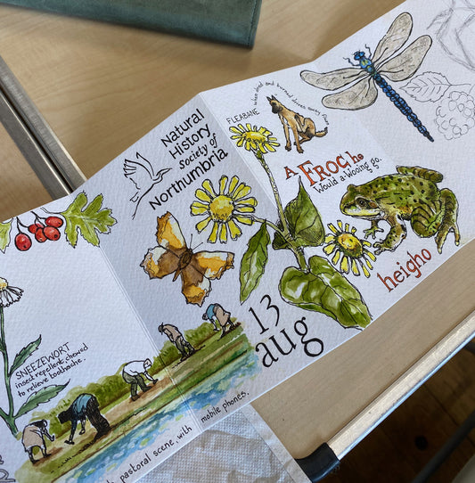 1 **NEW** Create A Nature Journal watercolour workshop with Steve Pardue - 10.30-1.30 Saturday 31st January