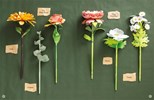 The Bouquet in a Book by Prudence Rogers
