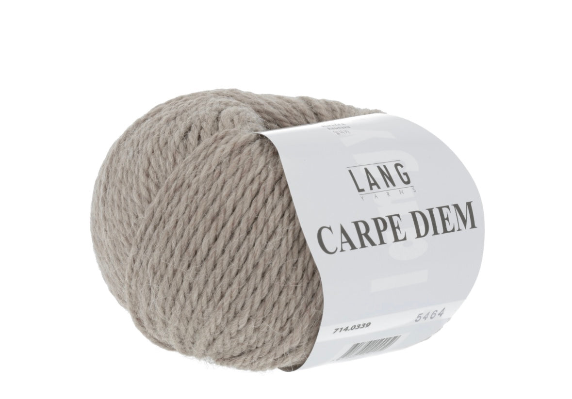 Yarn for My Jose Hood by NORgardknitters - Carpe Diem Chunky