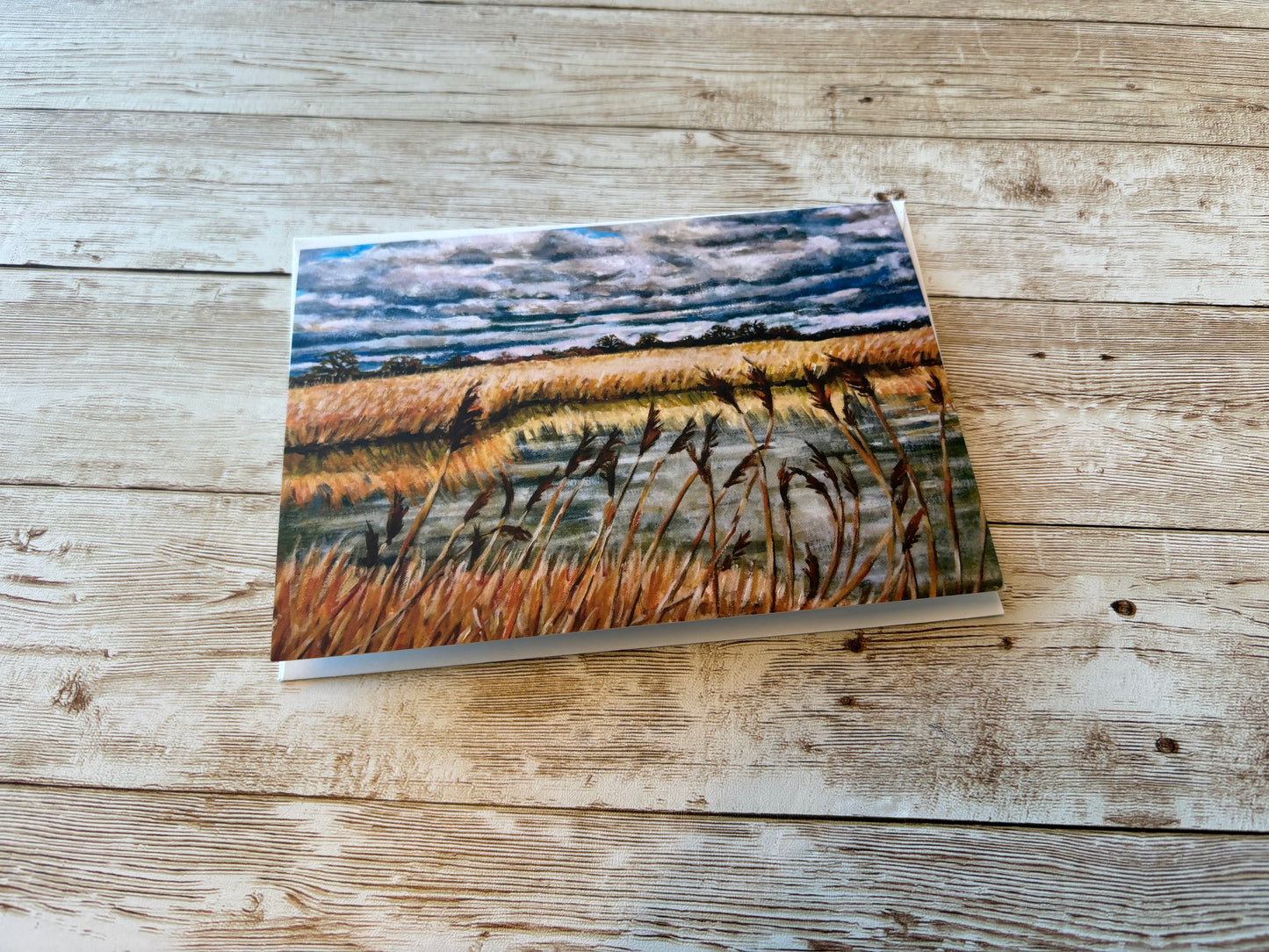 Greetings Cards By Jane Lees (Mr Locket's Clever Cousin!)