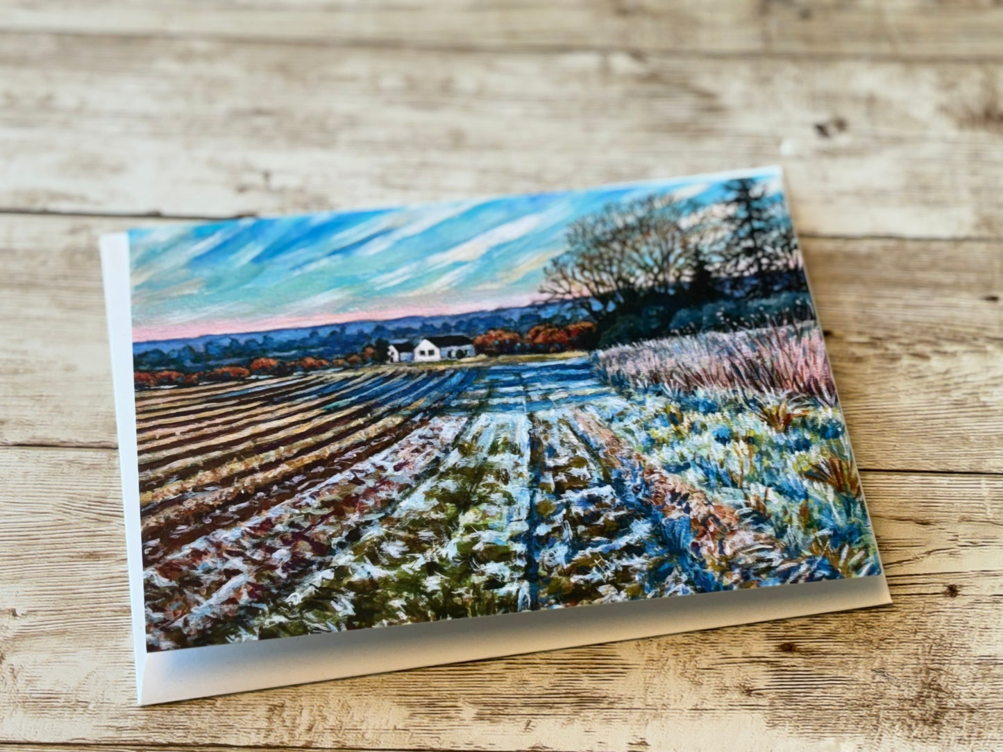 Greetings Cards By Jane Lees (Mr Locket's Clever Cousin!)