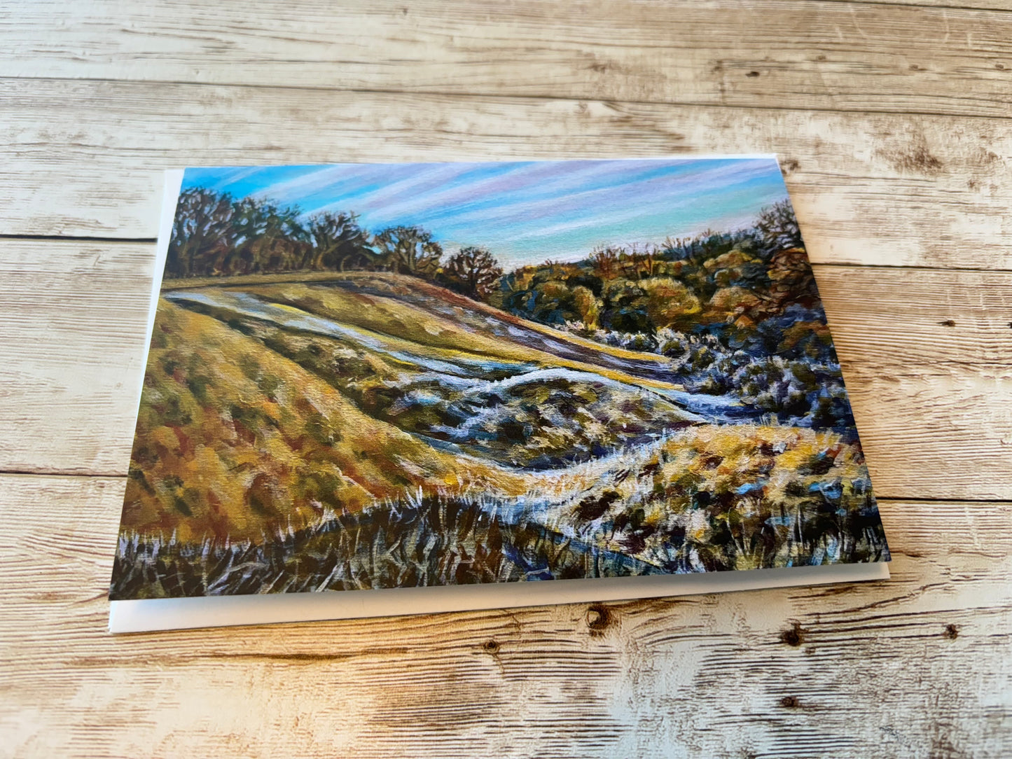 Greetings Cards By Jane Lees (Mr Locket's Clever Cousin!)