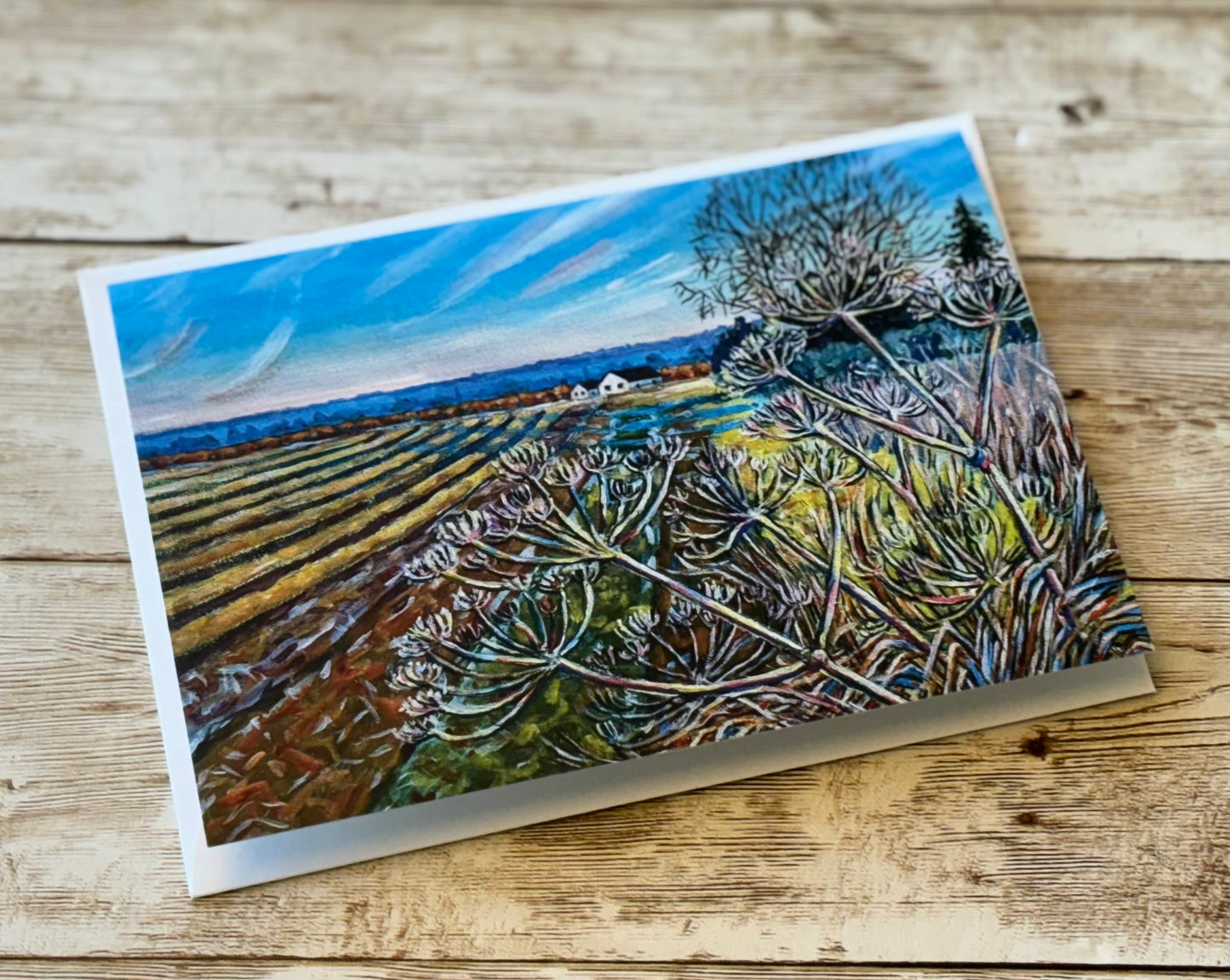 Greetings Cards By Jane Lees (Mr Locket's Clever Cousin!)