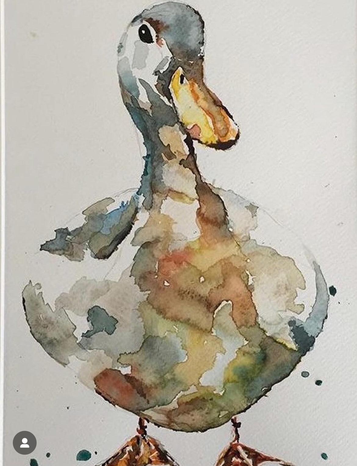 1. Watercolour Duck or Chicken All Day Guest Workshop with Sam Folcarelli - Saturday 19th July 10.30-4.30