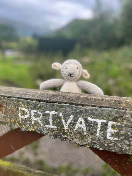 Locket's Year of Little Cotton Rabbits - Hazel the Shetland Sheep