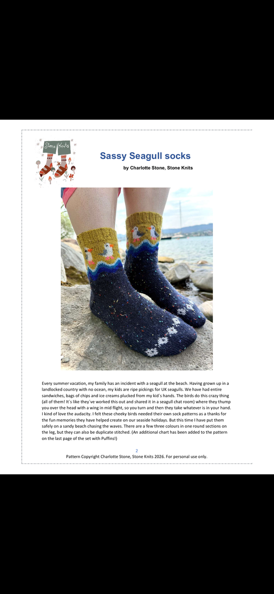 Sassy Seagulls Socks Yarn set