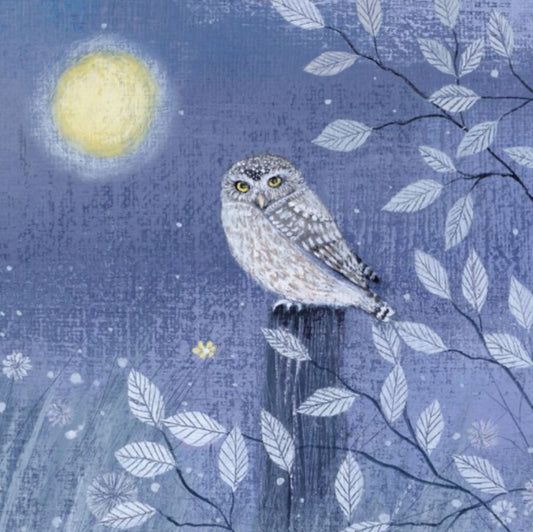 Greetings Card - Little Owl