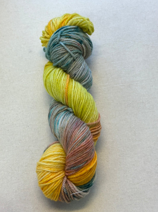 Locket's Bookshelf Collection Hand Dyed DK 100% Merino