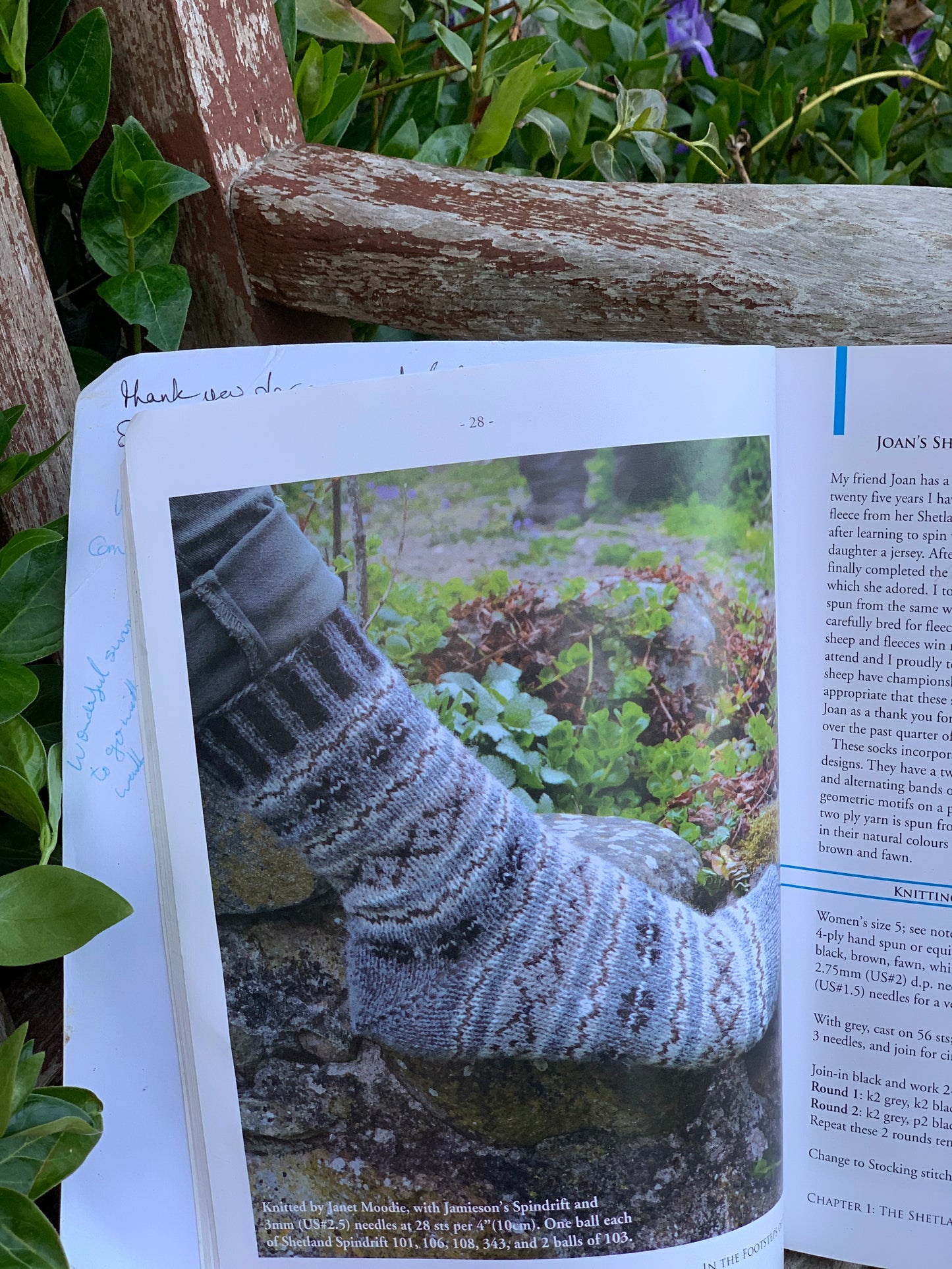 In The Footsteps of Sheep by Debbie Zawinski