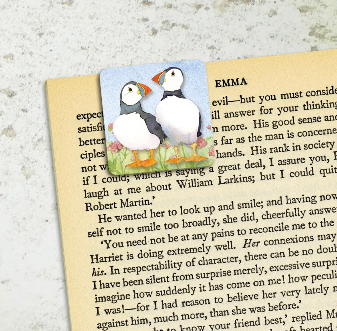 Emma Ball Magnetic Page Markers