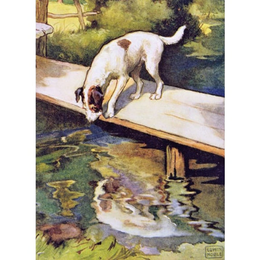 The Dog and The Shadow greetings card