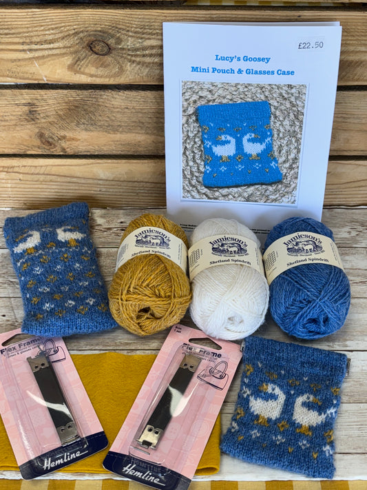 Lucy’s Goosey Coin Purse / Glasses Case Kit