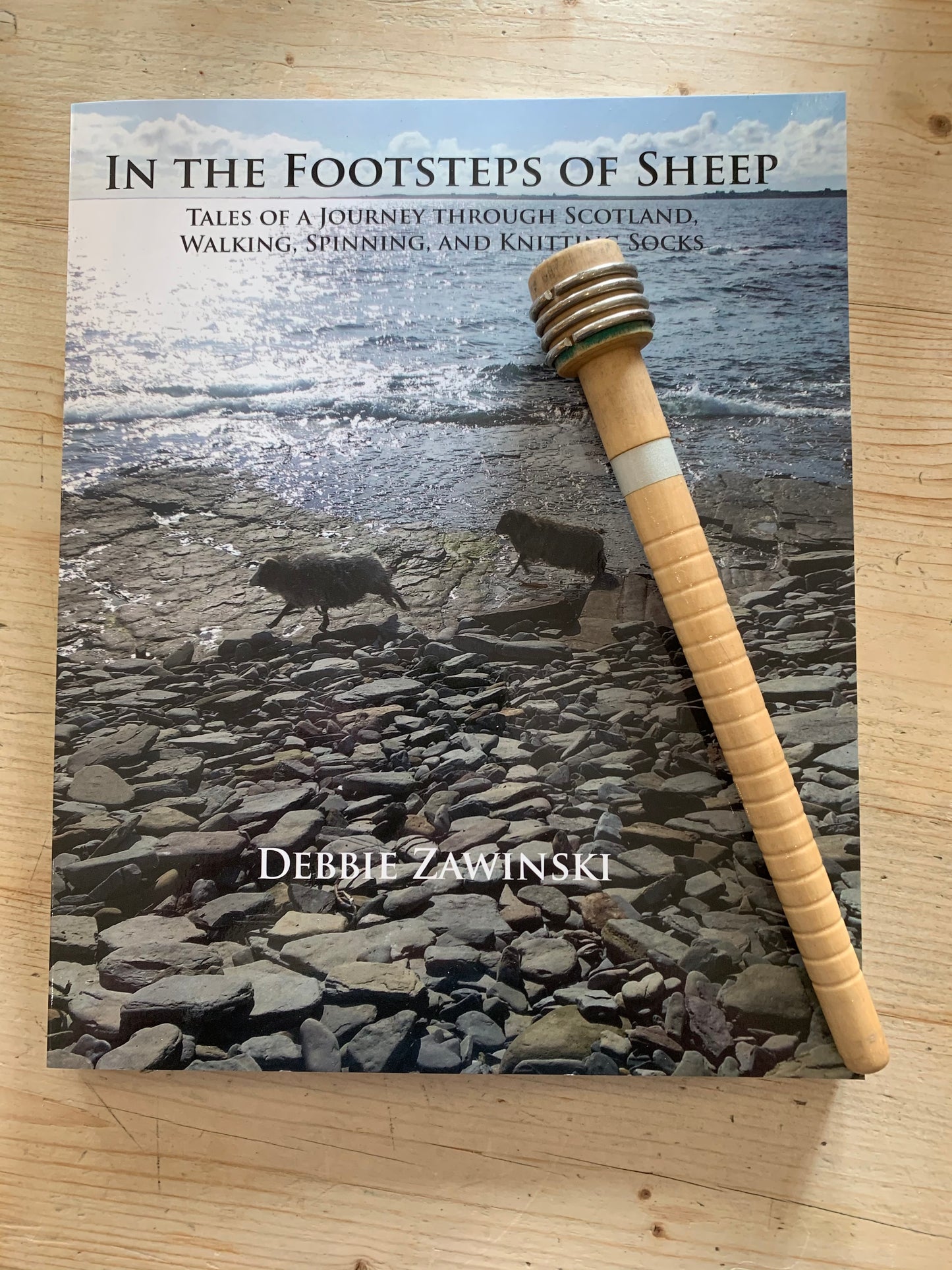 In The Footsteps of Sheep by Debbie Zawinski