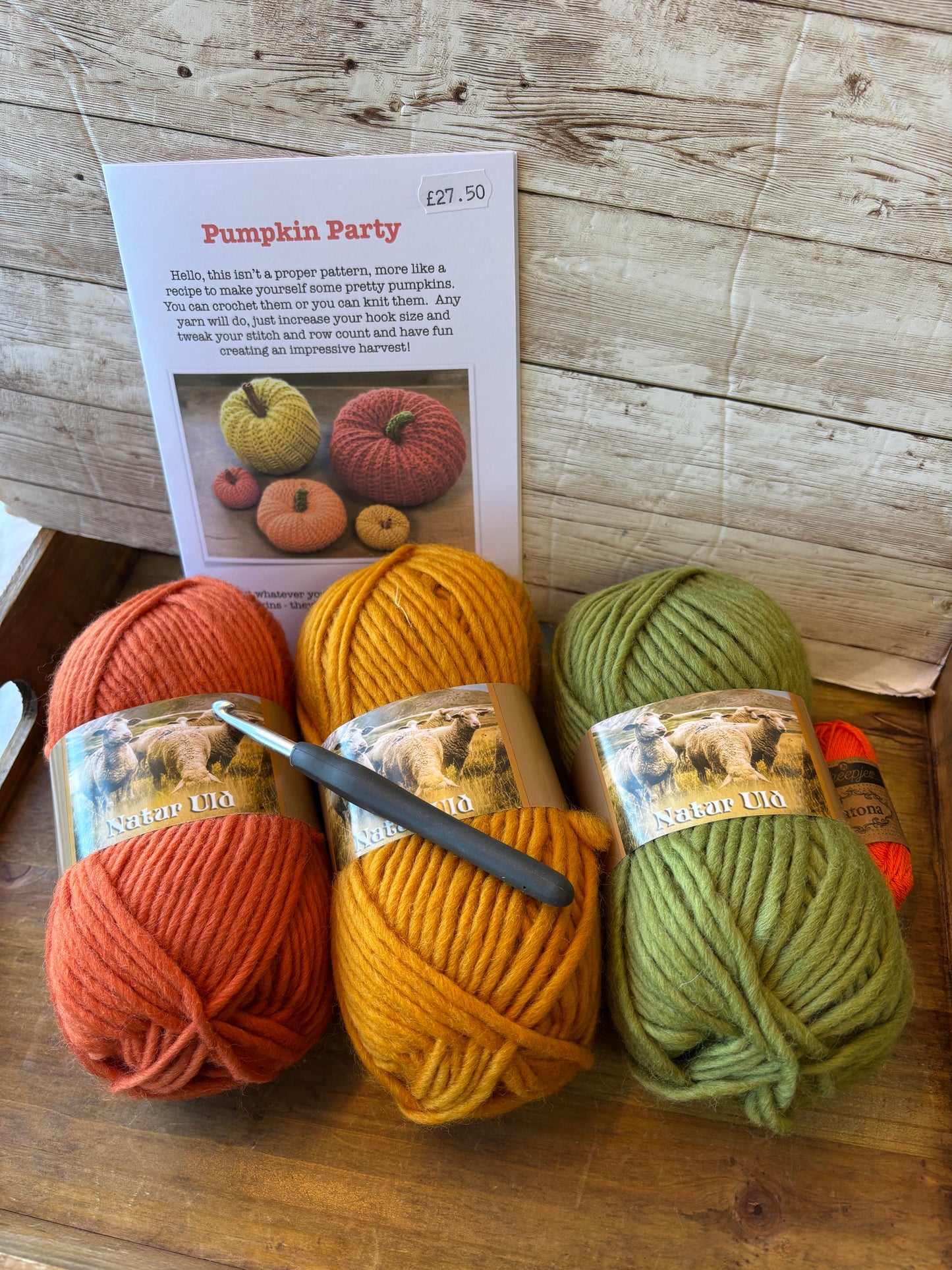 Giant Pumpkin Party Kit with Chunky Merino
