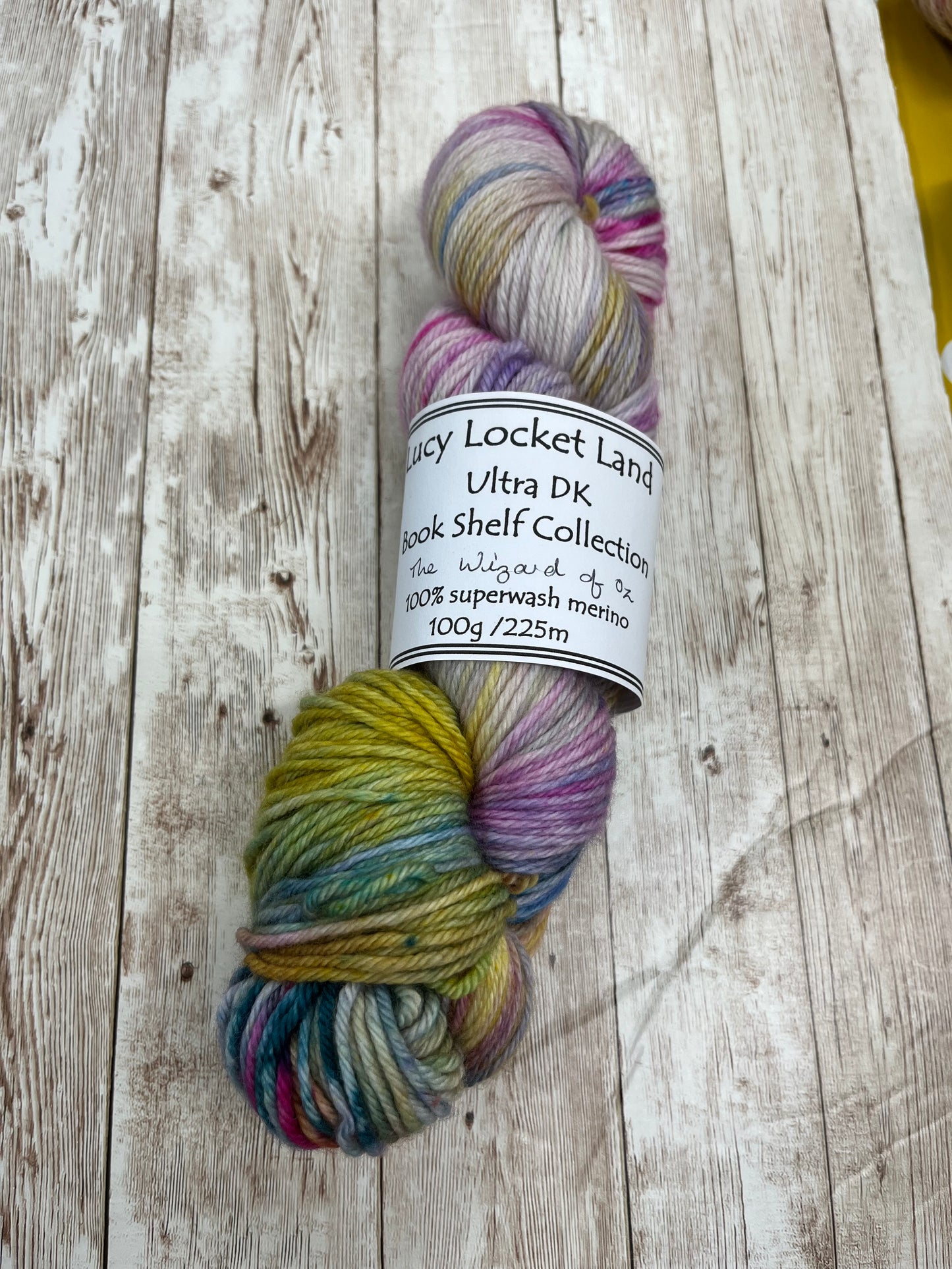 Locket's Bookshelf Collection Hand Dyed DK 100% Merino