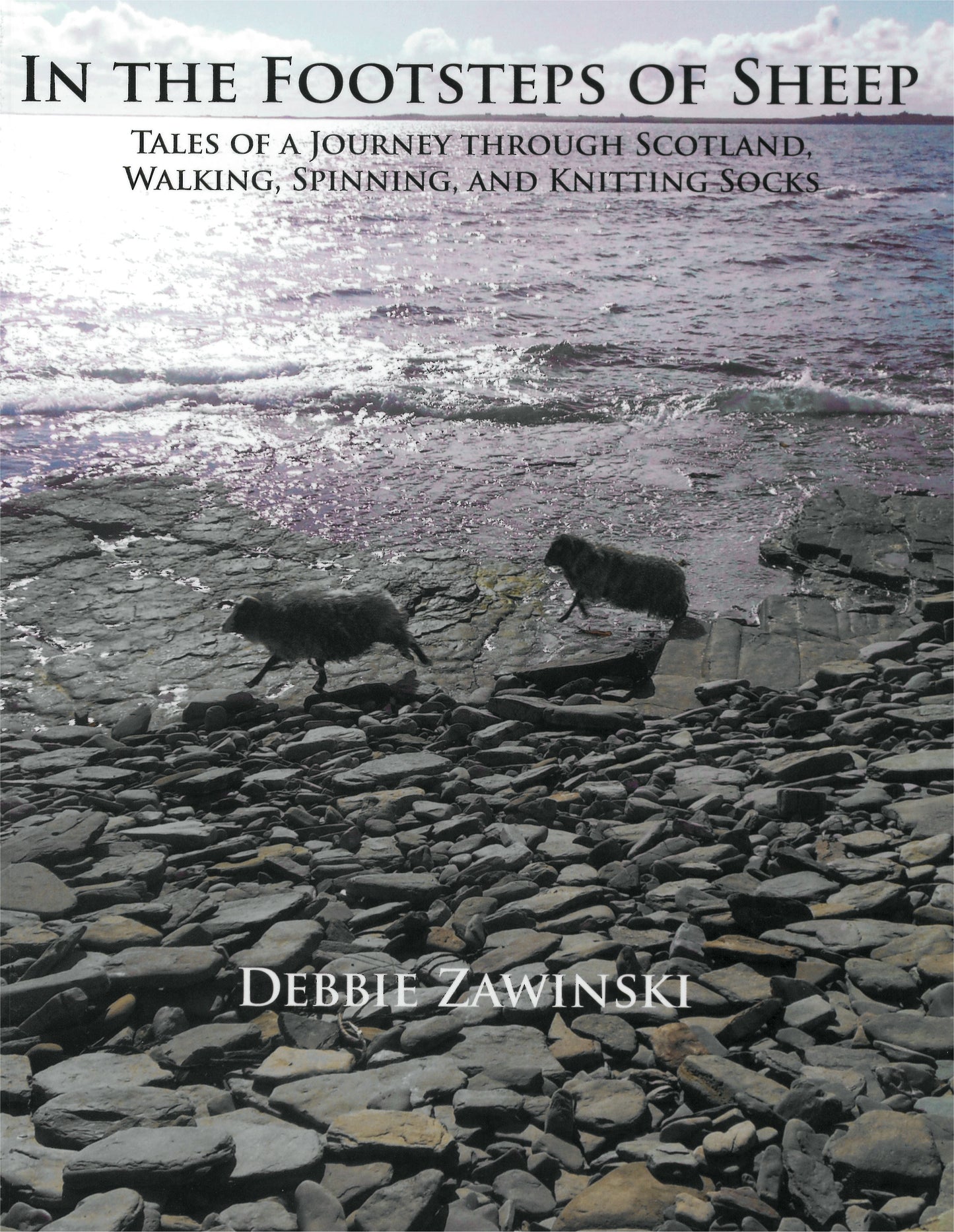 In The Footsteps of Sheep by Debbie Zawinski