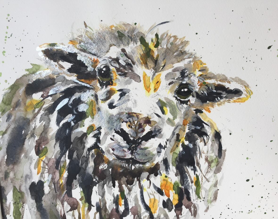 Watercolour Sheep Workshop with Art by Sam Sat 7th November 10.30-16.00