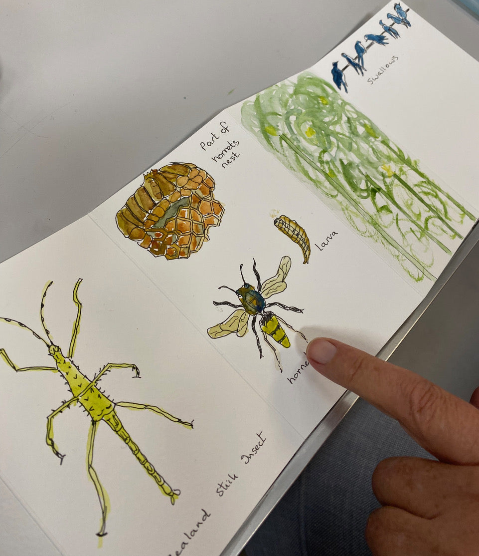 2 **NEW** Create A Nature Journal watercolour workshop with Steve Pardue - 10.30-1.30 Saturday 14th March