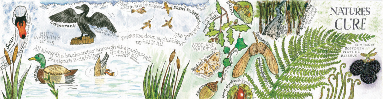 2 **NEW** Create A Nature Journal watercolour workshop with Steve Pardue - 10.30-1.30 Saturday 14th March