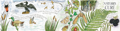 2 **NEW** Create A Nature Journal watercolour workshop with Steve Pardue - 10.30-1.30 Saturday 14th March
