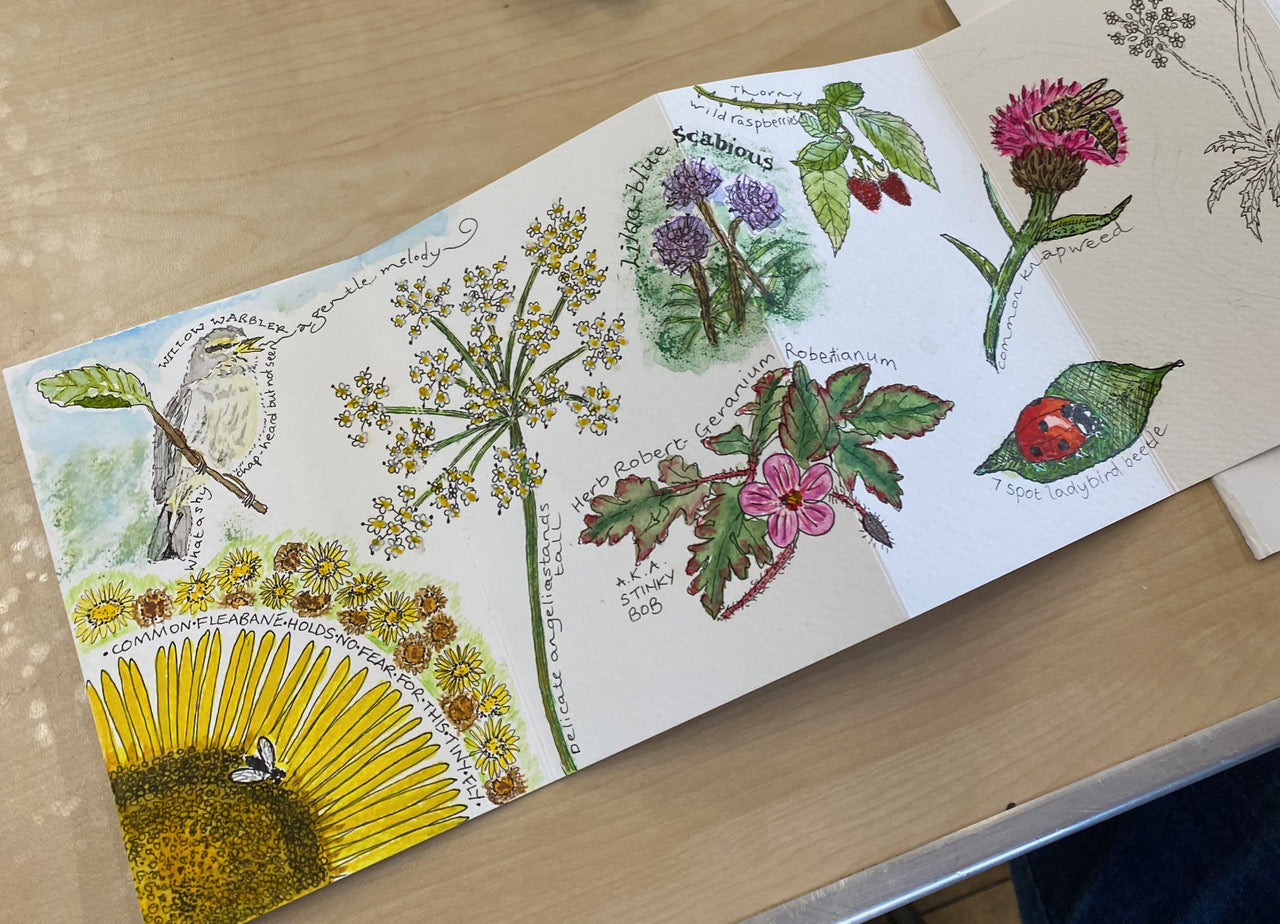 2 **NEW** Create A Nature Journal watercolour workshop with Steve Pardue - 10.30-1.30 Saturday 14th March