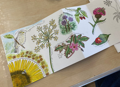 2 **NEW** Create A Nature Journal watercolour workshop with Steve Pardue - 10.30-1.30 Saturday 14th March