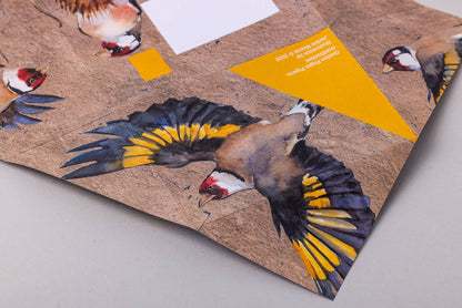 Golden Flight Pigeon, Folding Letter Set – Pack of 6 Letters