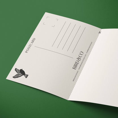 Ox-Eye Daisy | Modern-Retro Floral Reusable Greeting Card