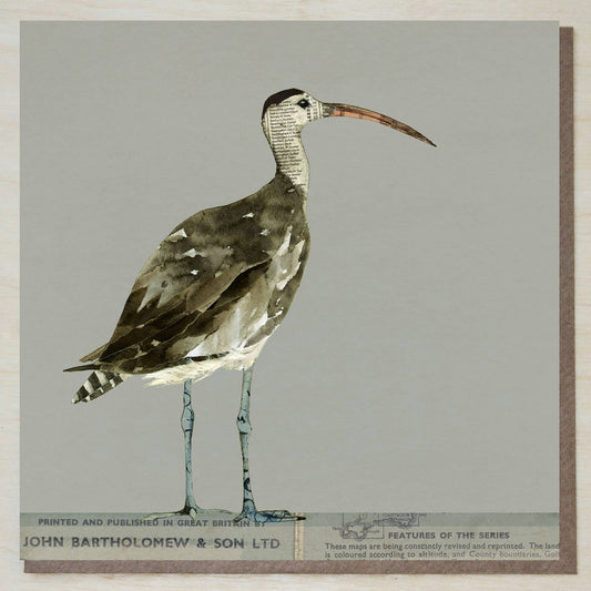 Curlew Card (British Birds)