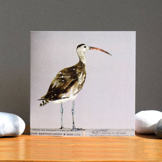 Curlew Card (British Birds)
