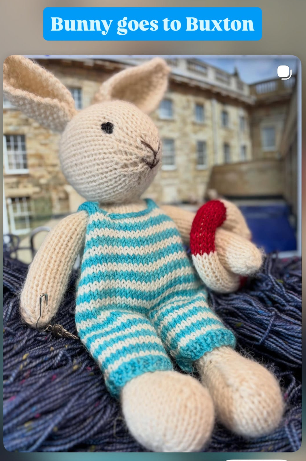 Little Cotton Rabbits Kit - Special Bunny Goes to Buxton Spa