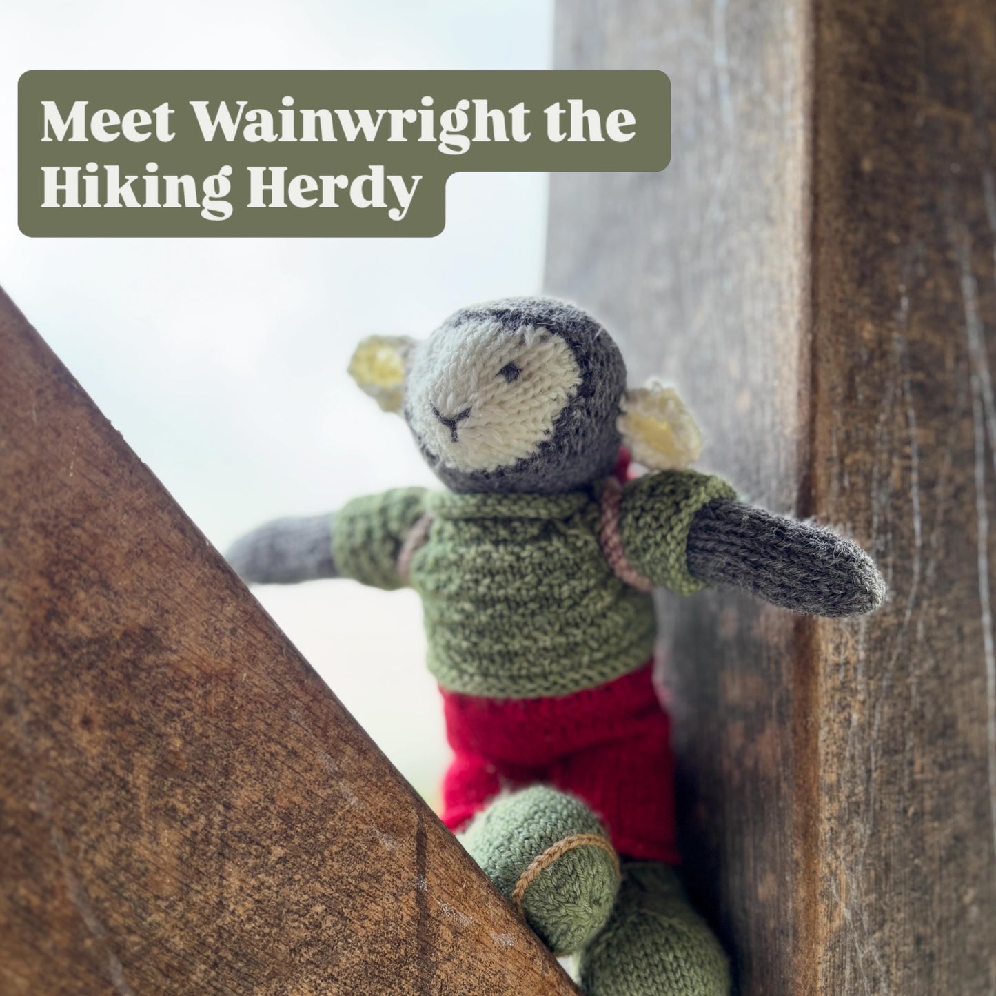 Special Wainwright the Hiking Herdy sheep kit
