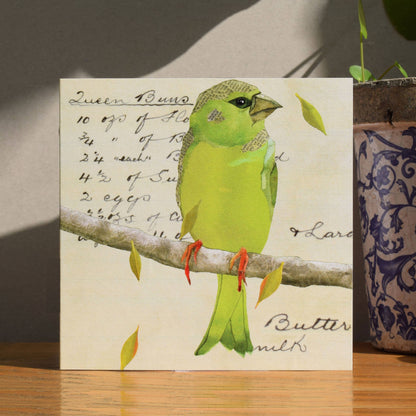 Greenfinch on Queen Buns Recipe (British Birds)