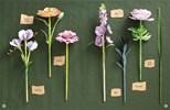 The Bouquet in a Book by Prudence Rogers