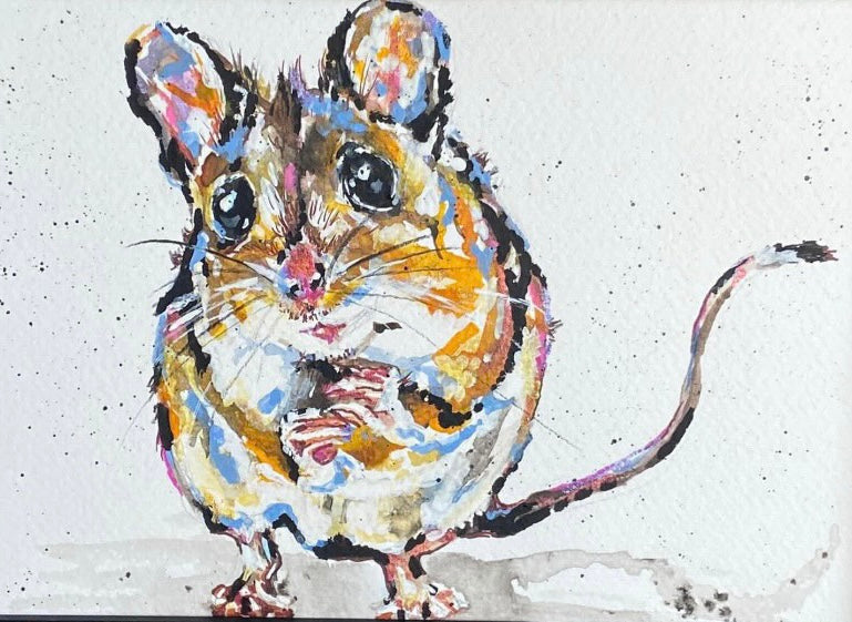Watercolour Hedgehogs & Mice All Day Guest Workshop with Sam Folcarelli -  Saturday 13th June 10.30-4.30