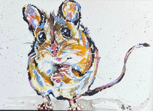 Watercolour Hedgehogs & Mice All Day Guest Workshop with Sam Folcarelli -  Saturday 13th June 10.30-4.30