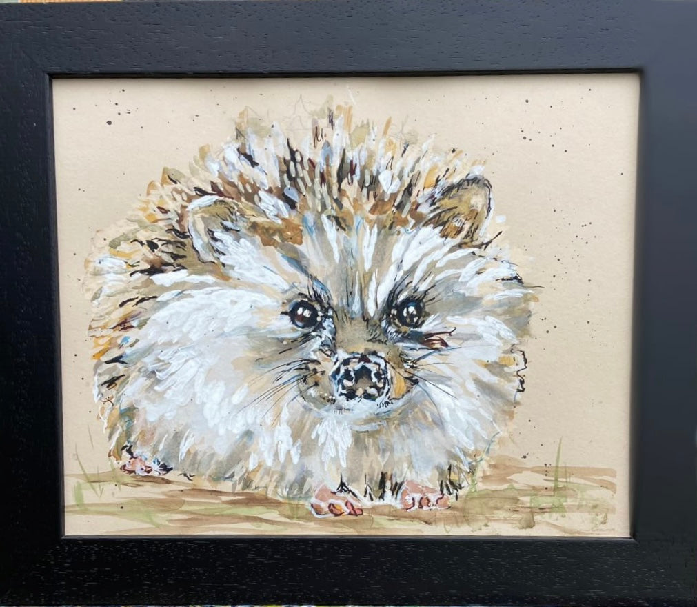 Watercolour Hedgehogs & Mice All Day Guest Workshop with Sam Folcarelli -  Saturday 13th June 10.30-4.30