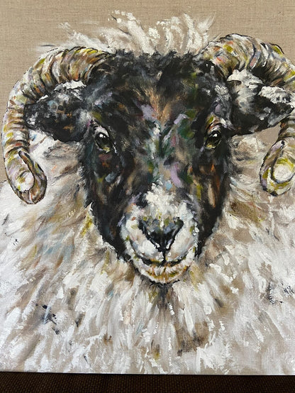 Watercolour Sheep Workshop with Art by Sam Sat 7th November 10.30-16.00