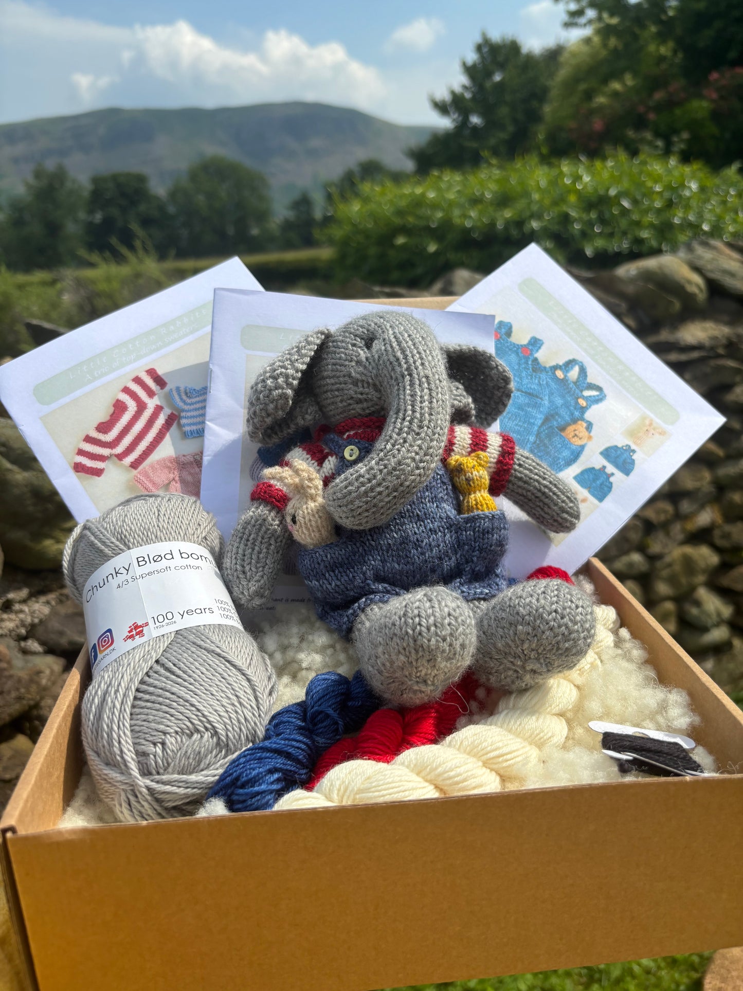 New Elephant in Dungarees & T-shirt kit