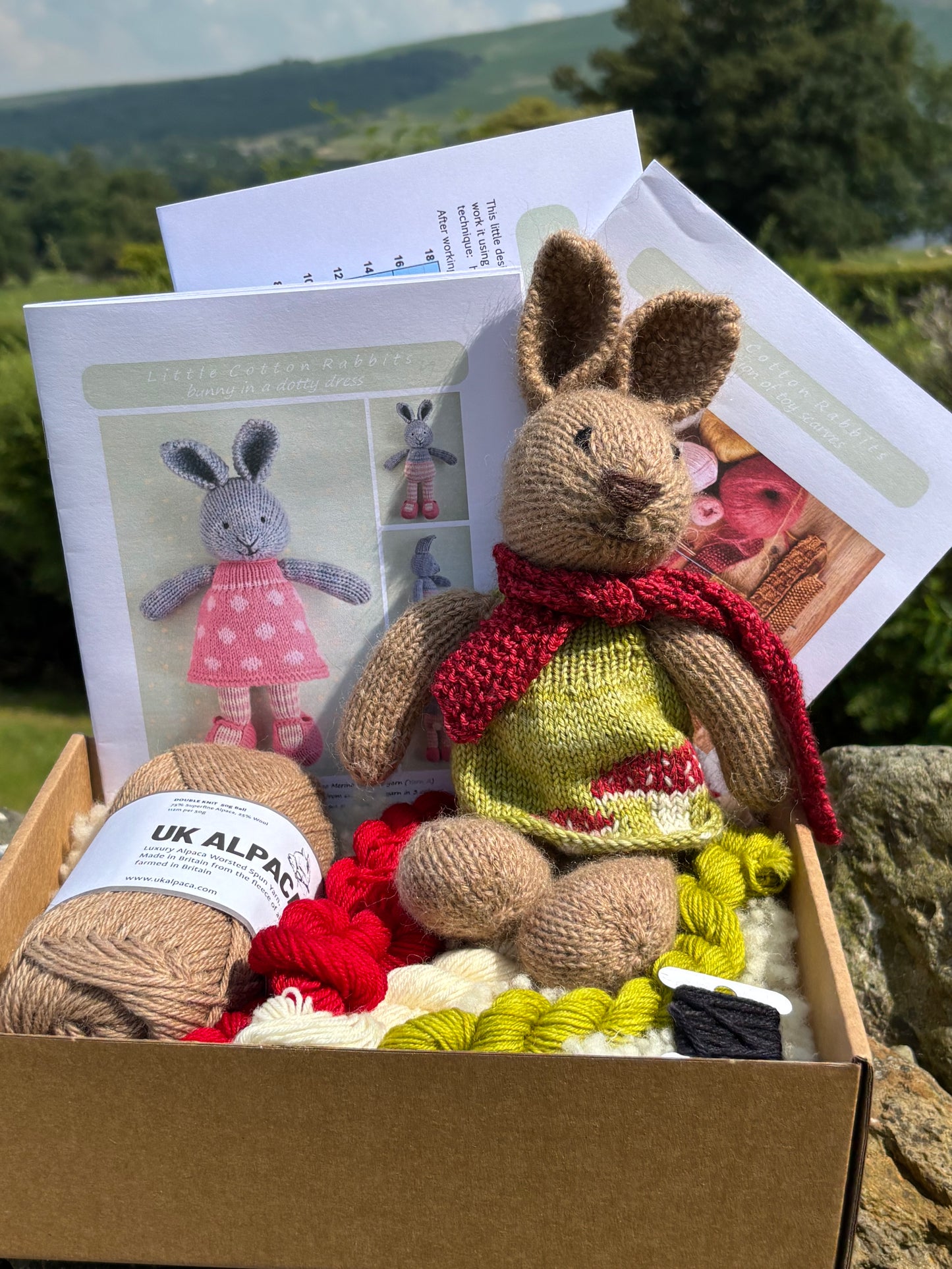 Little Cotton Rabbits Kit - Special Bunny in a Toadstool Dress