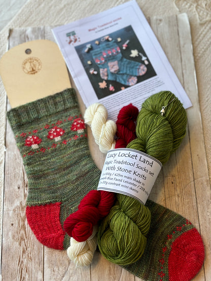 Magic Toadstool Sock Kit