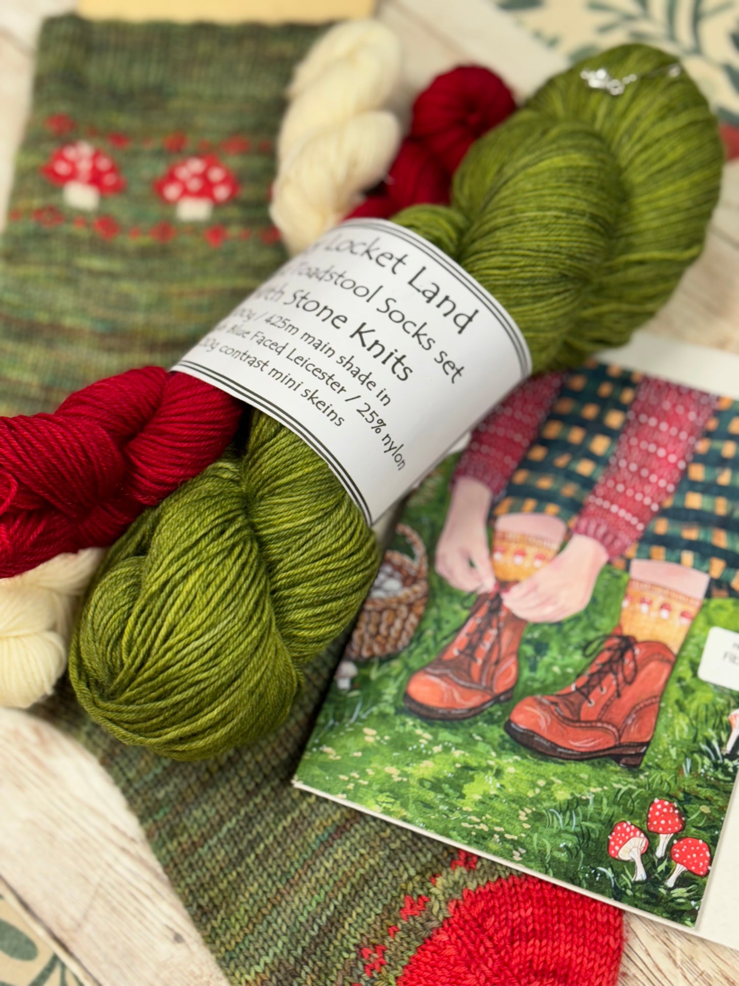 Magic Toadstool Sock Kit