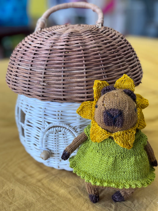 ***NEW*** Happy Flower Capybara knitting kit