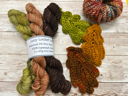 Set of 3 Autumnal DK 20g mini skeins