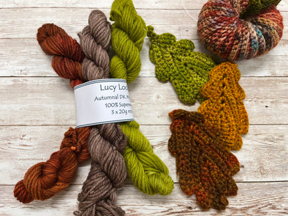 Set of 3 Autumnal DK 20g mini skeins