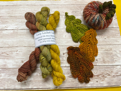 Set of 3 Autumnal DK 20g mini skeins