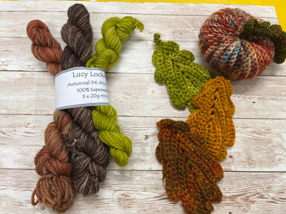 Set of 3 Autumnal DK 20g mini skeins