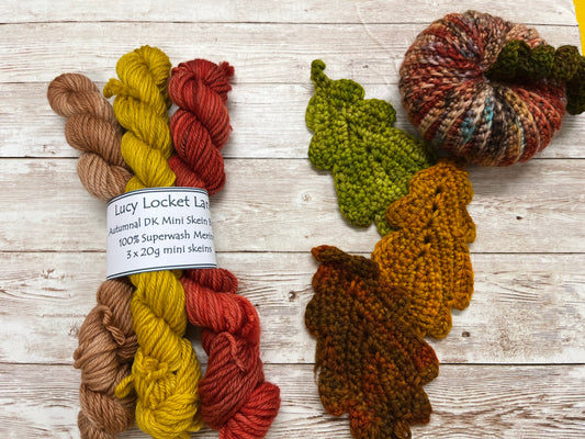 Set of 3 Autumnal DK 20g mini skeins