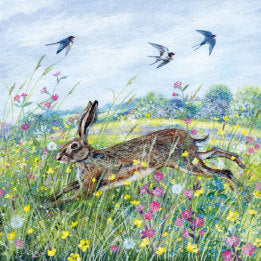 Greetings Card - Hare