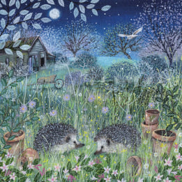 Greetings Card - Hedgehogs